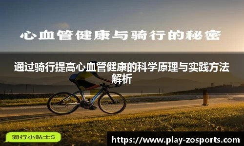 中欧体育