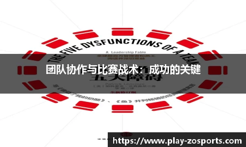 中欧体育
